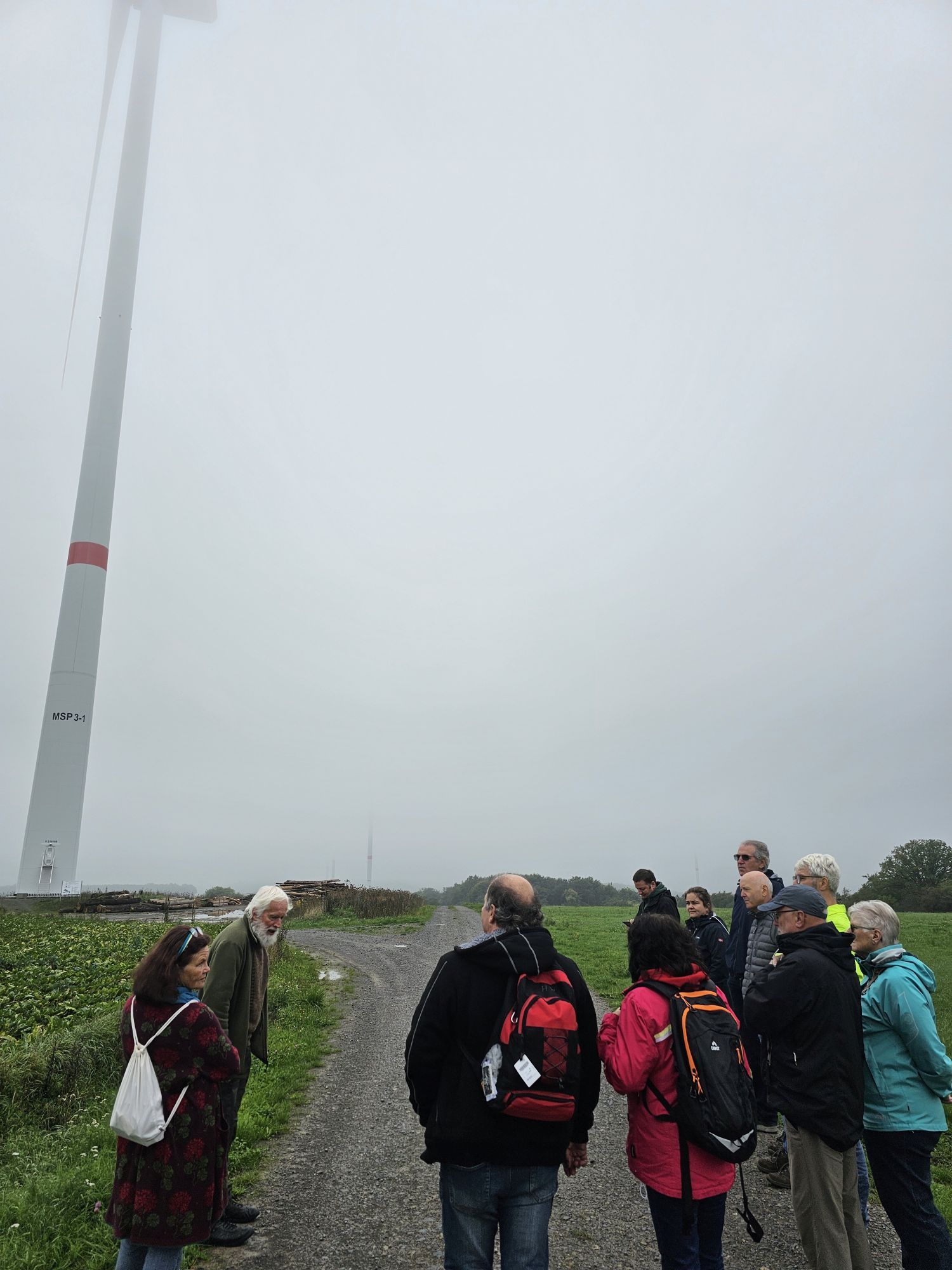 Besichtigung im Nebel